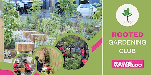 Rooted Gardening Club | Emma Cons Gardens