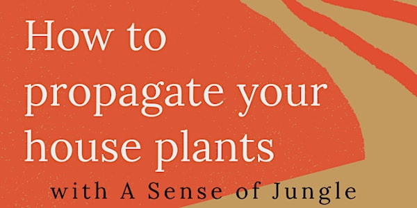 How to propagate your house plants! | The Front Room