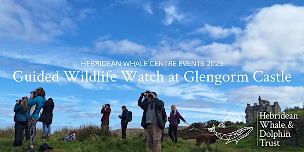 Guided Wildlife Watch at Glengorm Castle | Glengorm Wildlife Project