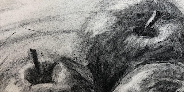 Spring Term 2026 - Introduction to Drawing Short Course | Hereford College of Arts (University Campus)