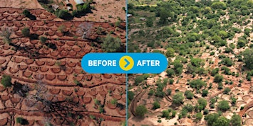 Nature+ Film Premiere: Restoring Landscapes, Strengthening Communities | Chartwell Church Oakville