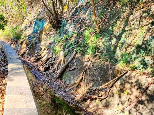 元荃古道輕鬆行