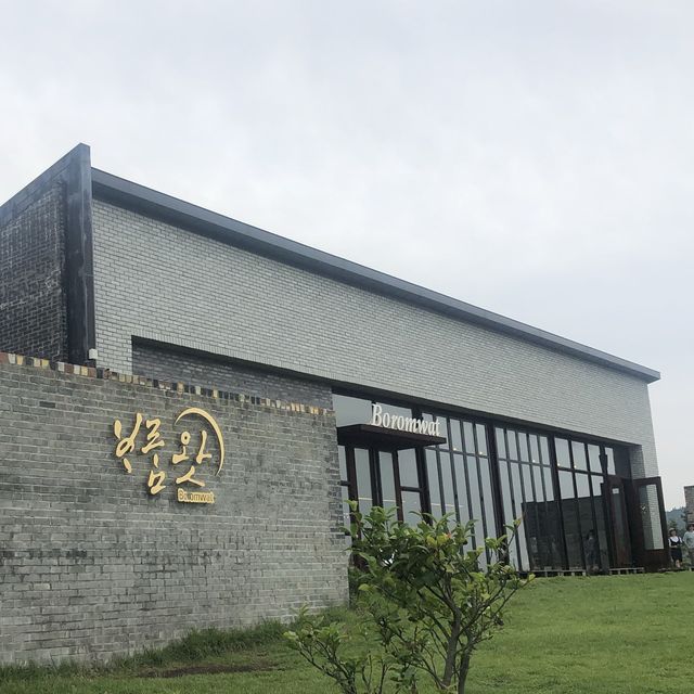 푸릇푸릇한 보롬왓 🌿