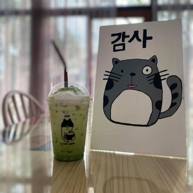 Brew n Taste Coffee คาเฟ่ที่มีรูปแมว @นครศรี