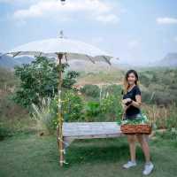 ต้นไม้ใบหญ้า Cafe' at แก่งกระจาน 🏕