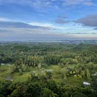 Chocolate Hills only In Bohol, Philippines. 