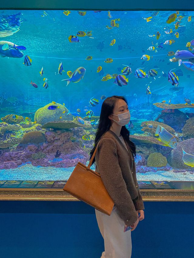 물고기도 털 달린 동물 친구들도 볼 수 있는 코엑스 아쿠아리움🌊