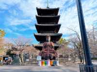 名古屋【八事山 興正寺】