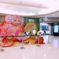 新春入住熊貓酒店