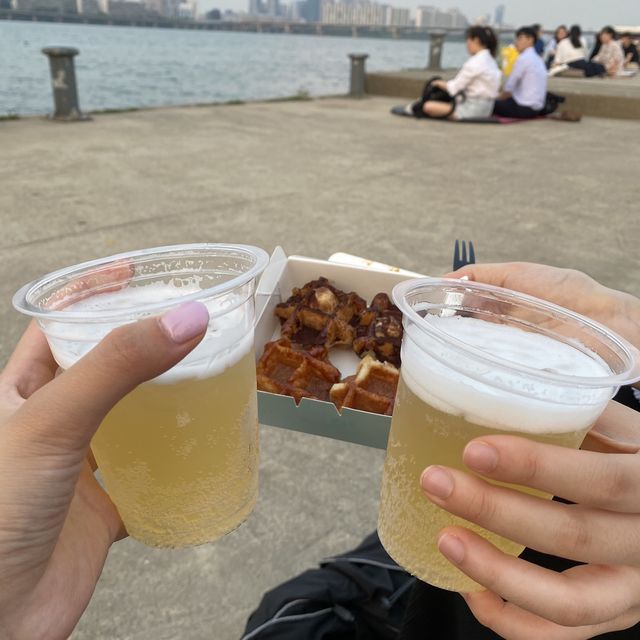 [여의도 한강공원] 피크닉의 명소 