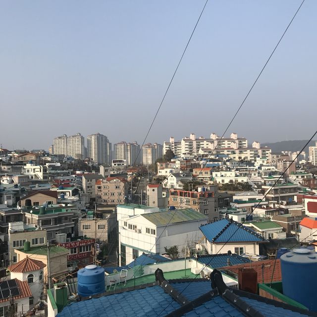 통영 여행코스 추천 :: 동피랑 벽화마을 🤩