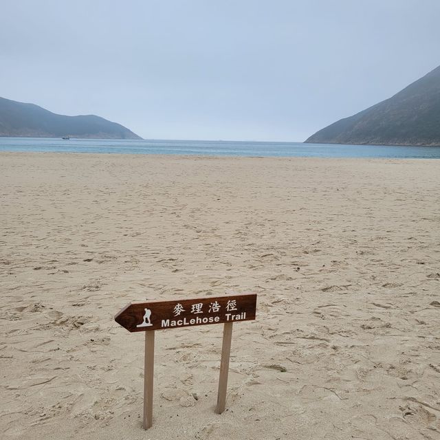鮮花也在春天盛開｜西灣山