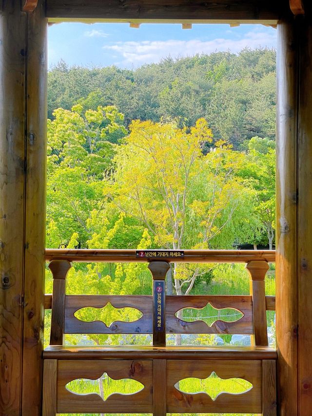 부산 봄나들이 가기 좋은 해운대 수목원 🌿