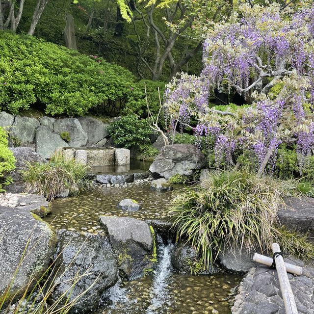 この世の極楽に鎌倉観光なら長谷寺