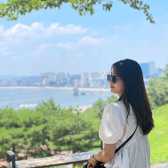 환호공원 스페이스워크 :: 포항 이색 놀거리/볼거리!
