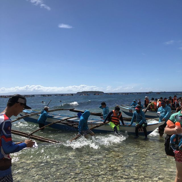 세부 오슬롭 고래상어투어🐋