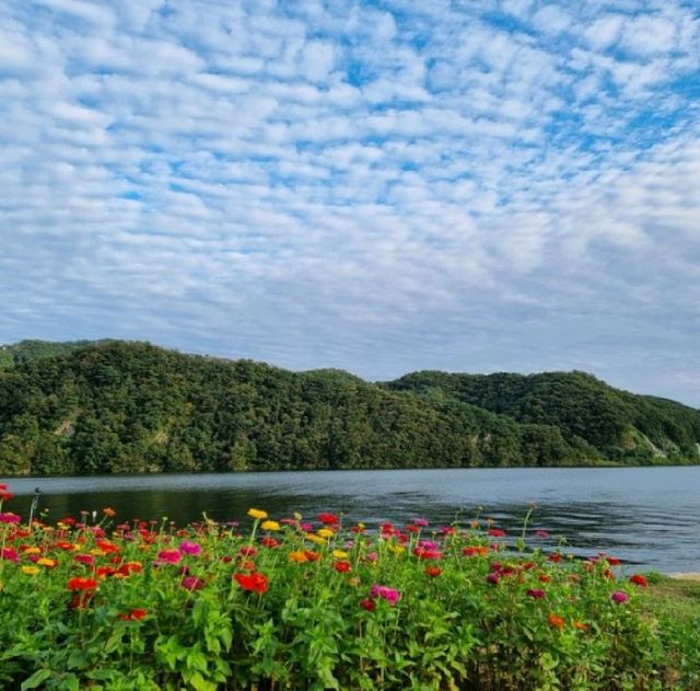 알록달록 예쁜 꽃들이 한가득🌼 가평 남도꽃정원
