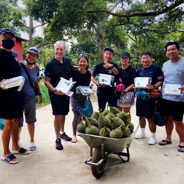 Durian Farm Expedition In Kulai Johor 