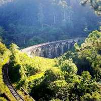 A Breathtaking Scenic Train Ride