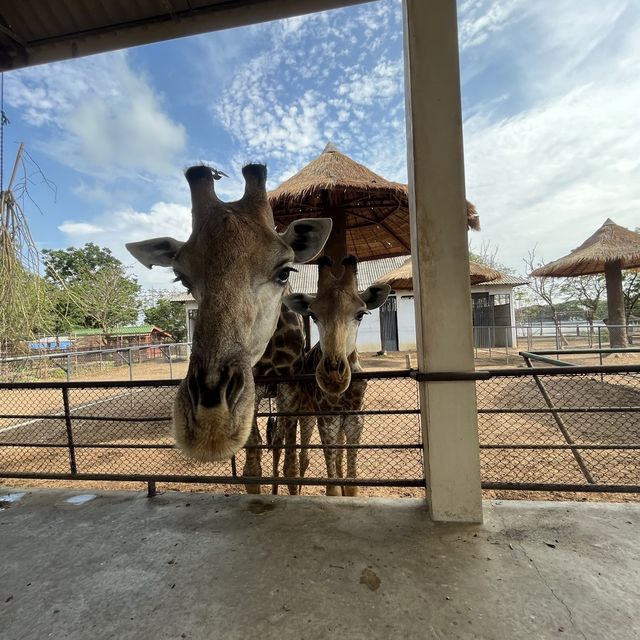 ไปหายีราฟที่บึงฉวาก 🐆🐘🦒🦓🦛🦏🐏🐪