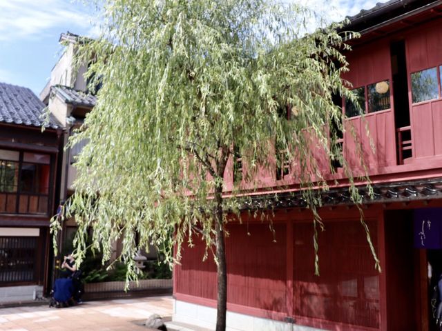 【金沢】映える街並み！ひがし茶屋街をご紹介