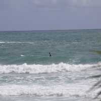 เดินเล่นริมหาดกะตะ หาดในดวงใจของเหล่านักเซิร์ฟ