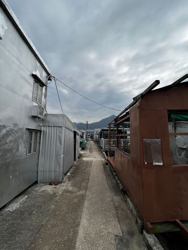 東澳古道｜4小時行山徑｜東涌行到大澳｜約14公里 🍂