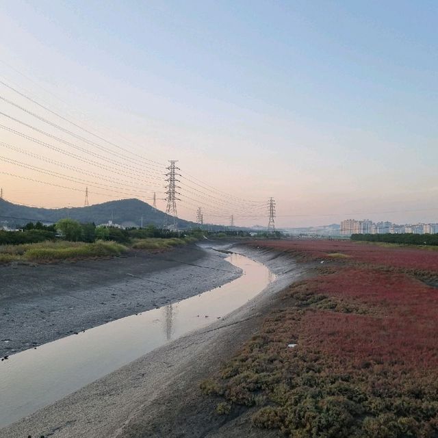 인생샷 건지고 싶다면? 인천 여행 필수코스!