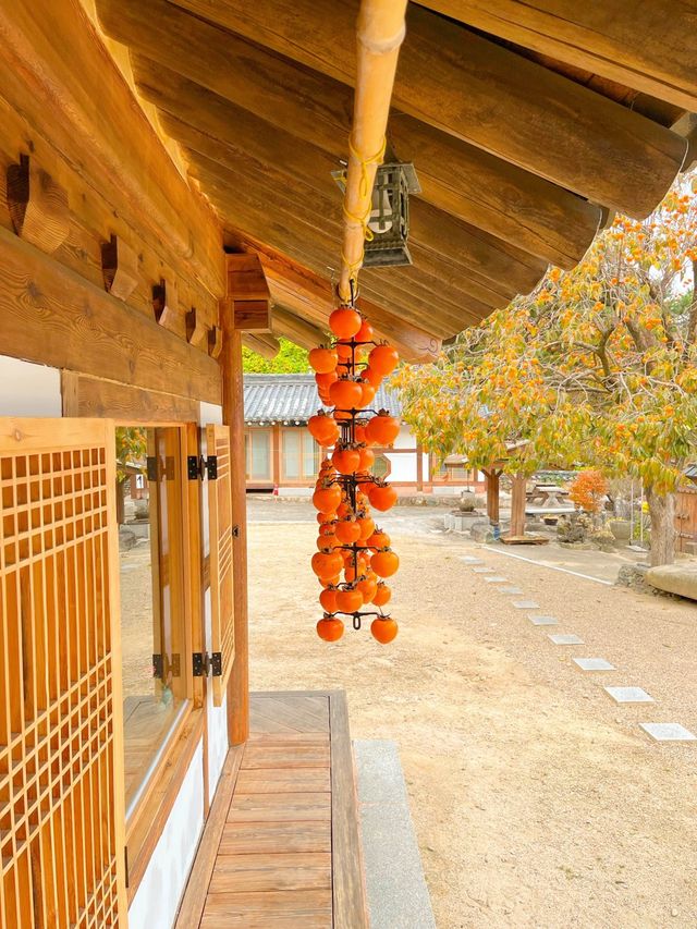 알록달록 예쁘게 물든 은행과 단풍을 볼 수 있는 울산 다담한옥🏠