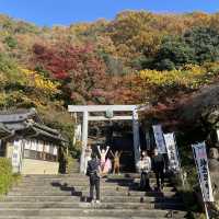 童話色彩的桃太郎公園