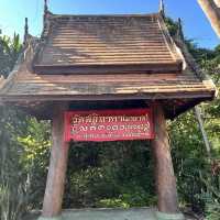 เดินมาเที่ยววัดผาลาด