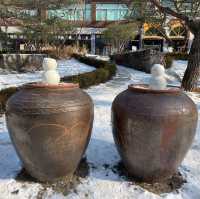 韓國🇰🇷春川南怡島🤲🏻冬日戀歌之路😌雪地浪漫💕漫步