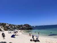 Rottnest Island! Parakeet Bay! 📸😎