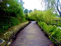 台中景點-秋紅谷景觀生態公園