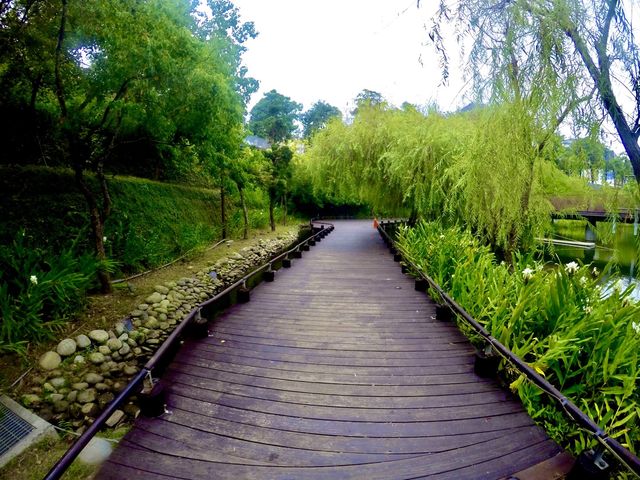 台中景點-秋紅谷景觀生態公園