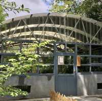 台北植物園🪵🪵賞花溫室自然公園