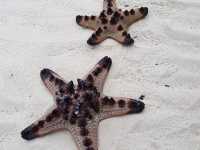 Camotes Islands