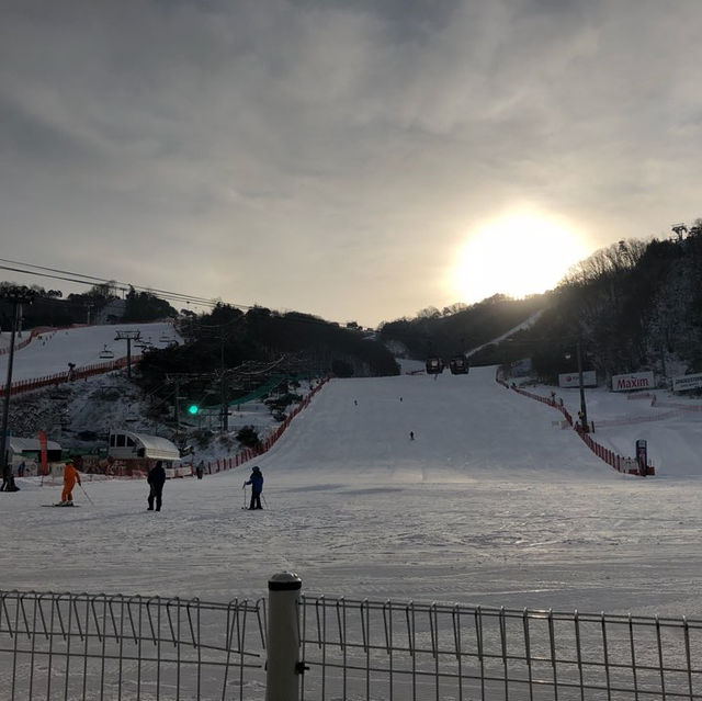 보드의 시즌이 돌아왔어요~