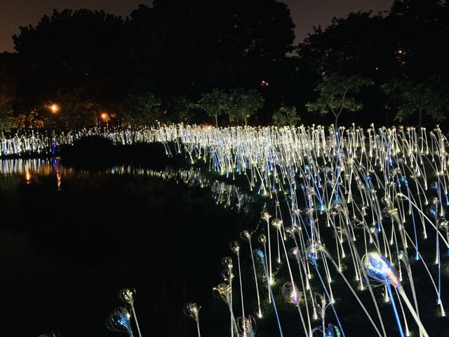 高雄燈會-第二主燈區衛武營都會公園