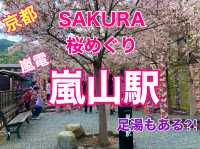 京都　KYOTO SAKURAめぐり❗️嵐電嵐山駅の桜に感動❗️足湯も⁈