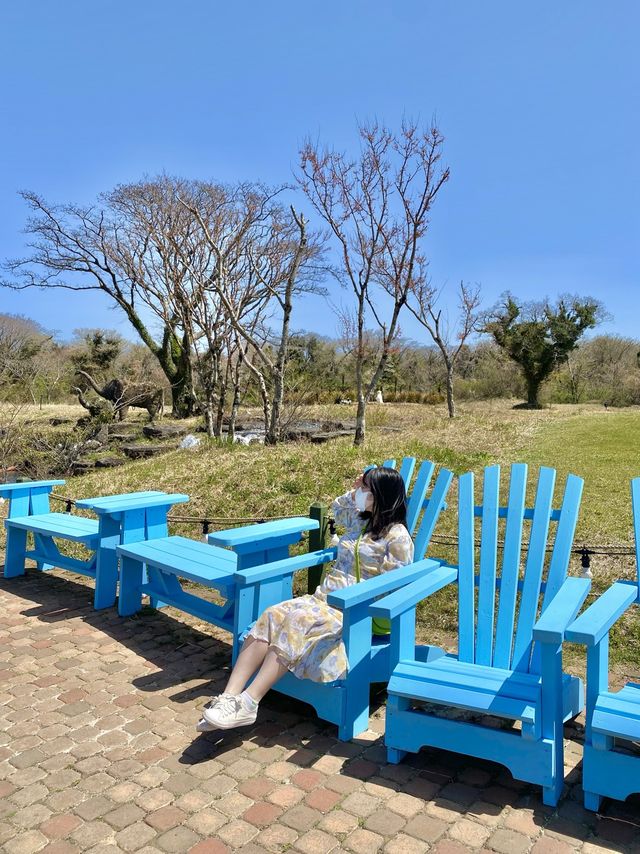 미니 제주🌸 짧은 제주 여행이라면 필수 코스!