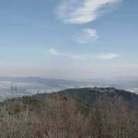 대전 등산 보문산 