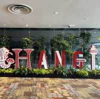 Top Things to do at Changi Airport T1