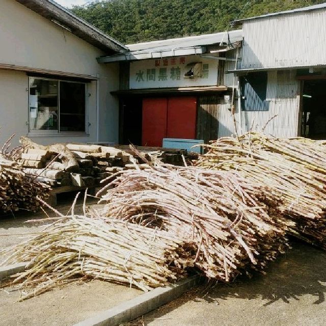 これが奄美大島の幻の黒砂糖を制作している会社！水間黒糖