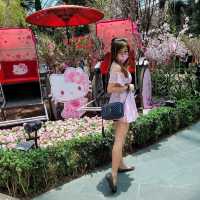 Flower Dome x Sakura flowers with Hello Kitty