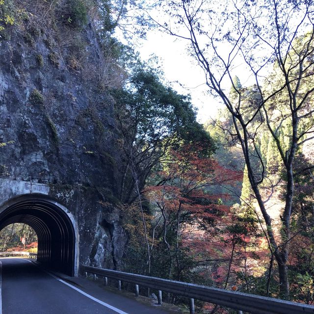 宮崎が東国原出馬で熱くなる！
