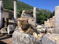 Ephesus 