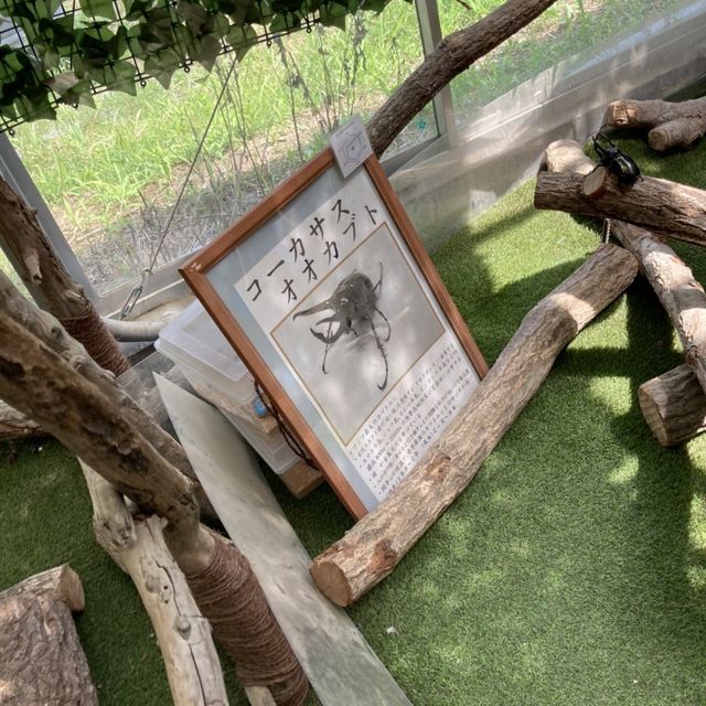 びーとるランド
