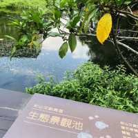 綠意盎然🌳🌿松山文創園區 Songshan Cultural and Creative Park