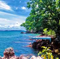 Rock View Terrace 